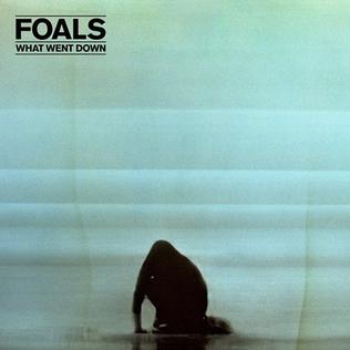 What Went Down Foals